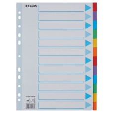 Przekładki kartonowe kolorowe z kartą opisową ESSELTE, A4, 12 kart